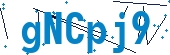 recaptcha